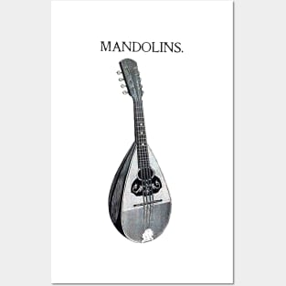 Medieval string instrument mandolins Posters and Art